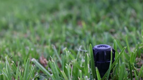 An automatic sprinkler system in the grass. Closeup. Selective focus. Stock Footage 233882492