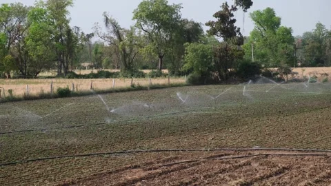 Automatic sprinkler system watering crops in a green agricultural field Stock Footage 331063111