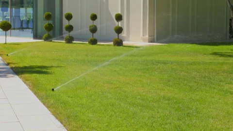 Automatic sprinkler system watering the fresh green lawn near a luxury estate. Vídeo Stock 337455389