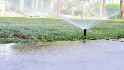 Automatic sprinkler system watering green grass lawn Video stock 95854360