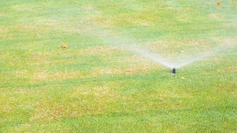 Automatic sprinkler system watering green grass lawn Video stock 95854508