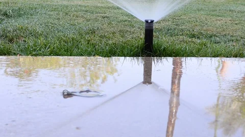 Automatic sprinkler system watering green grass lawn Video stock 95854605