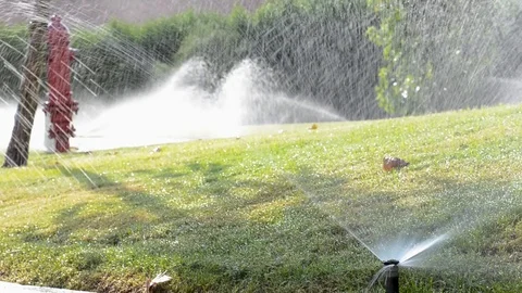 Automatic sprinkler system watering green grass lawn Video stock 95854680