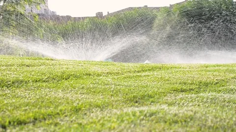 Automatic sprinkler system watering green grass lawn Video stock 95854826