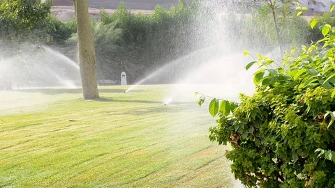 Automatic sprinkler system watering green grass lawn Video stock 95854893