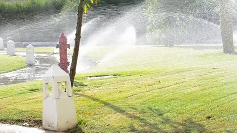 Automatic sprinkler system watering green grass lawn Video stock 95855082