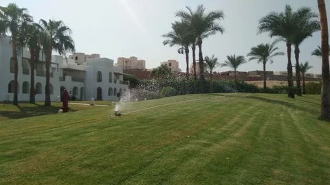 Automatic sprinkler system watering green grass lawn Video stock 95855666
