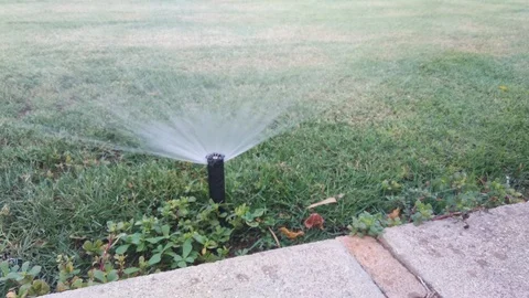 Automatic sprinkler system watering green grass lawn Video stock 95855987