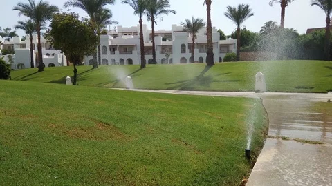 Automatic sprinkler system watering green grass lawn Video stock 95856429