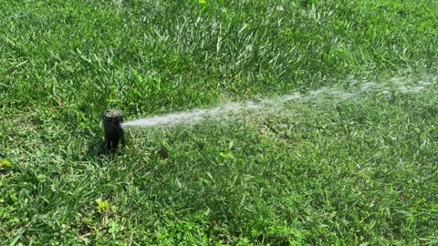 Automatic sprinkler system watering green field with grass or lawn. Irrigation Stock-Footage 334849236