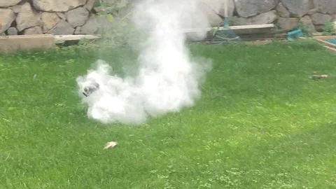 Automatic sprinkler system watering green grass lawn Stock Footage 341512642