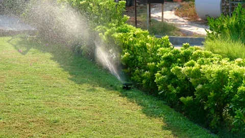 Automatic sprinkler system watering the lawn in sunshine in the garden Stock Footage 134742764