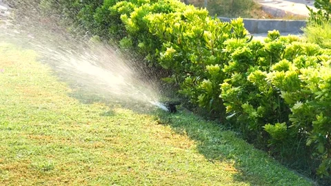 Automatic sprinkler system watering the lawn in sunshine in the garden Stock Footage 134743380