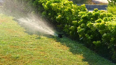 Automatic sprinkler system watering the lawn in sunshine in the garden 库存影片 134743490