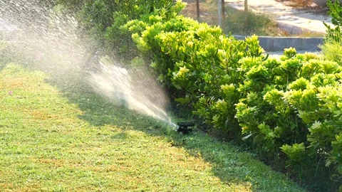 Automatic sprinkler system watering the lawn in sunshine in the garden Stock Footage 134744371