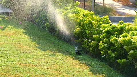Automatic sprinkler system watering the lawn in sunshine in the garden Vidéo 134744534