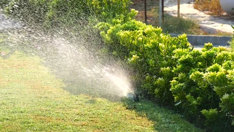 Automatic sprinkler system watering the lawn in sunshine in garden on background Stock Footage 134744643