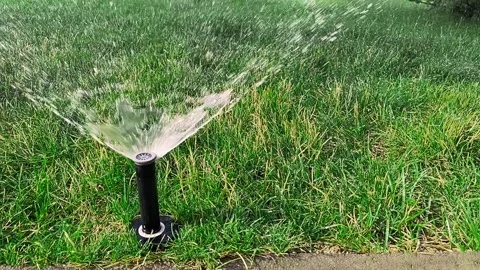 Automatic sprinkler system watering the lawn. Stock Footage 158300605