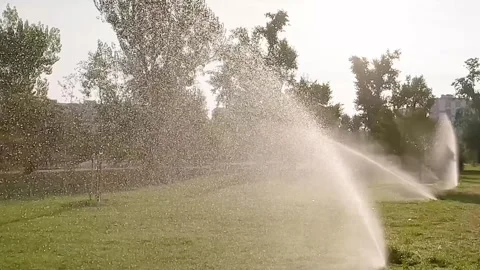 Automatic sprinkler system watering the lawn in the morning Vídeos de archivo 283160674