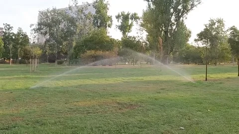 Automatic sprinkler system watering the lawn in the morning Stock Footage 283160683