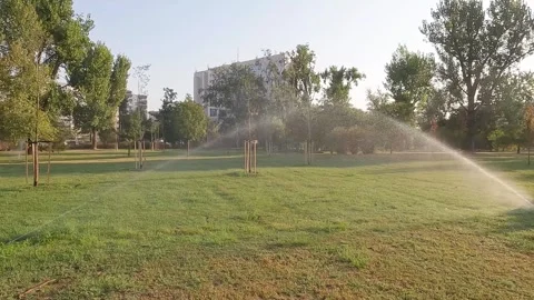 Automatic sprinkler system watering the lawn in the morning Stock Footage 283160684
