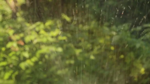 Automatic sprinkler system for watering plants and lawns. Stock Footage 108935810