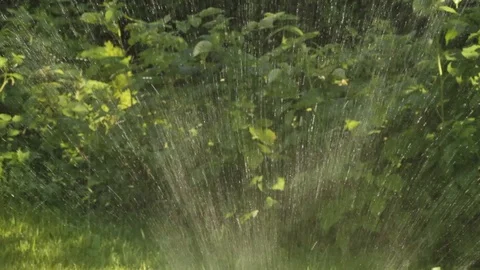 Automatic sprinkler system for watering plants and lawns. Stock Footage 108935837