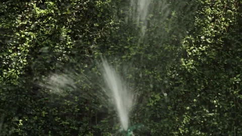 Automatic sprinkler system for watering plants and lawns. Stock Footage 108935912