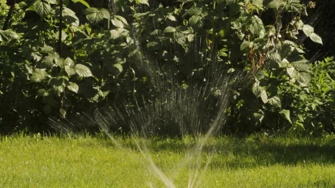 Automatic sprinkler system for watering plants and lawns. Video stock 108935916
