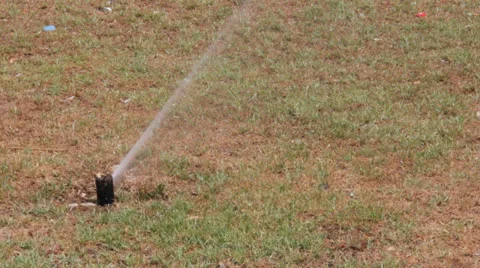 Automatic sprinkler watering Stock Footage 22957619