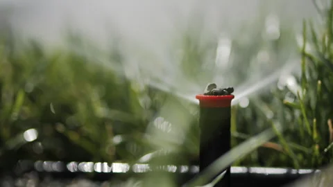 Automatic sprinkler watering green grass Stock Footage 313798952