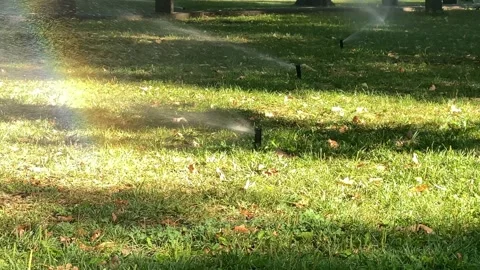 Automatic sprinkler watering green grass in a city park. Stock Footage 342994244
