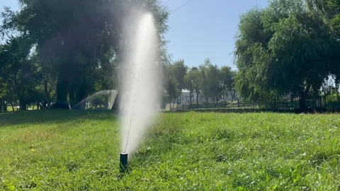 Automatic Sprinkler Watering Green Lawn in Sunny City Park Stock Footage 340757765