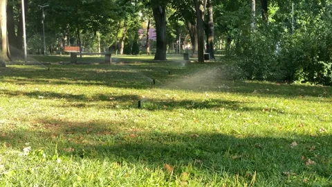 Automatic sprinkler watering a green park lawn beneath mature trees. Stock Footage 342994272