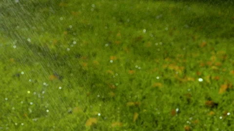 Automatic sprinkler watering system for plants and lawn. Slow motion. HD Vidéo 88430869