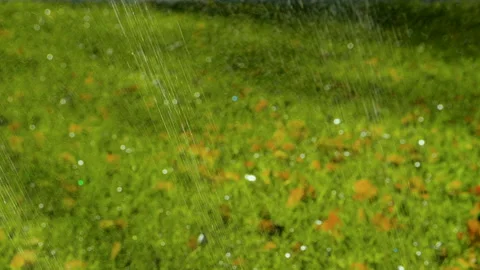 Automatic sprinkler watering system for plants and lawn. Slow motion. HD Stock Footage 88431178