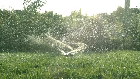 Automatic sprinkler watering system for plants and lawn. Stock Footage 121719560