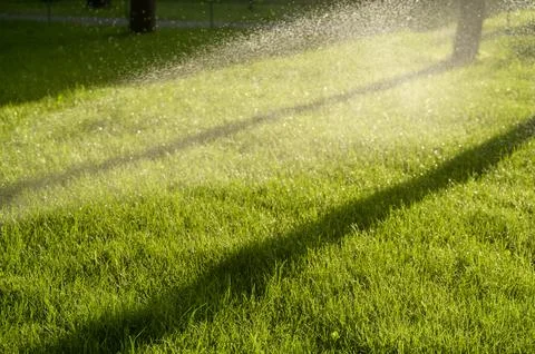 Automatic sprinkler working on a green lawn in a city park. Water jets. Stock Photos