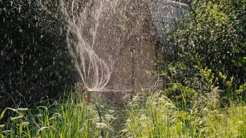 An automatic summer cottage sprinkler sprinkles water on plants on a sunny day. Stock Footage 156397376