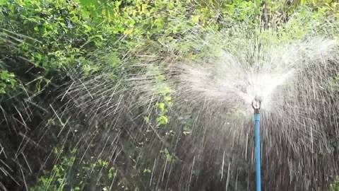 Automatic system of sprinkler watering in garden. Stock Footage 130587475