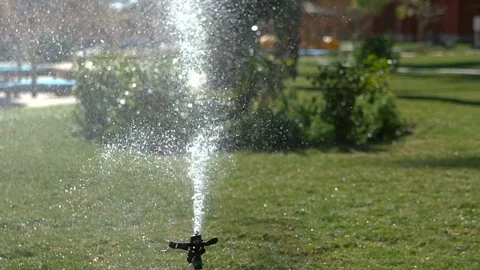 Automatic system of watering green grass in the yard. Slow motion 100 fps Stock Footage 71929488