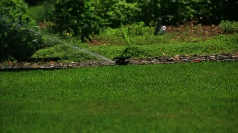 Automatic underground sprinkler system watering lawn Stock Footage 12284527