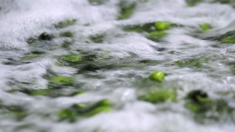 Automatic washing Line for Processing of Vegetables. Preserving Cucumber. Canned Stock Footage 127855271