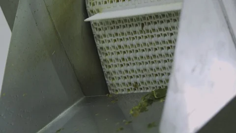 Automatic washing Line for Processing of Vegetables. Preserving Cucumber. Canned Stock Footage 127855444