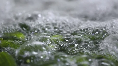 Automatic washing Line for Processing of Vegetables. Preserving Cucumber. Canned Stock Footage 127855893
