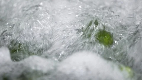 Automatic washing Line for Processing of Vegetables. Preserving Cucumber. Canned Stock Footage 127855995