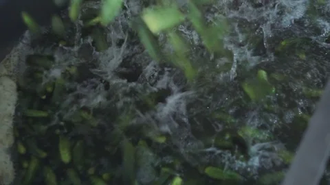 Automatic washing Line for Processing of Vegetables. Preserving Cucumber. Canned Stock Footage 129263375