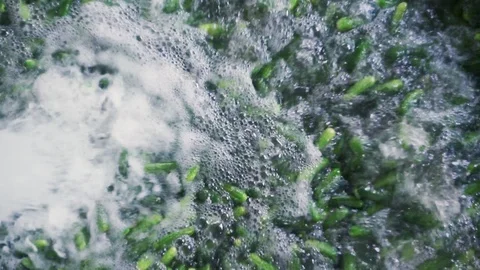 Automatic washing Line for Processing of Vegetables. Preserving Cucumber. Canned Stock Footage 129263523