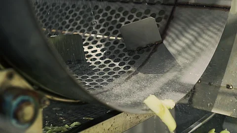 Automatic washing Line for Processing of Vegetables. Preserving paprika peppers Stock Footage 129265282