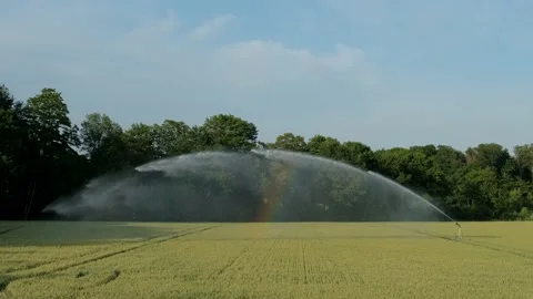 Automatic water sprinkler that directs and distributes irrigation water Vídeo Stock 240185025